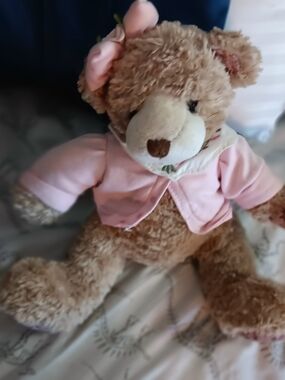 Plush Brown Teddy Bear with Pink Jacket and Bow